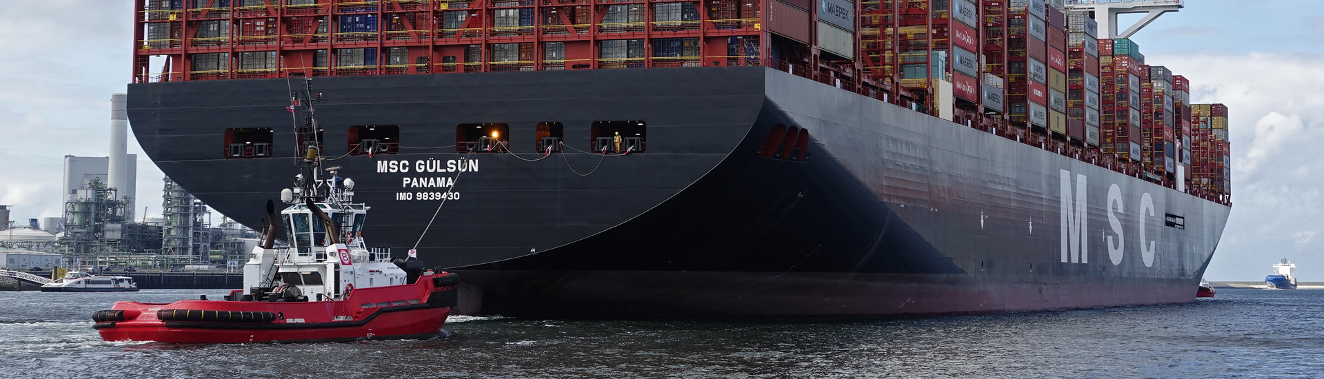 header msc gulsun.jpg